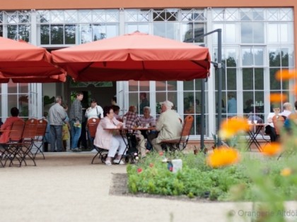 Фото: Orangerie Altdöbern