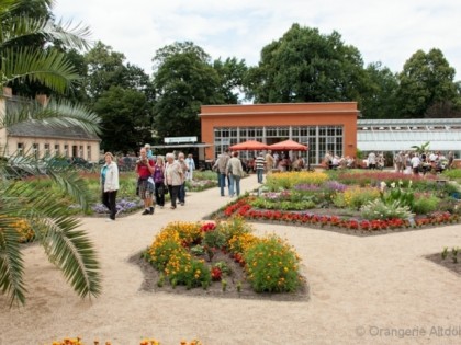 Фото: Orangerie Altdöbern